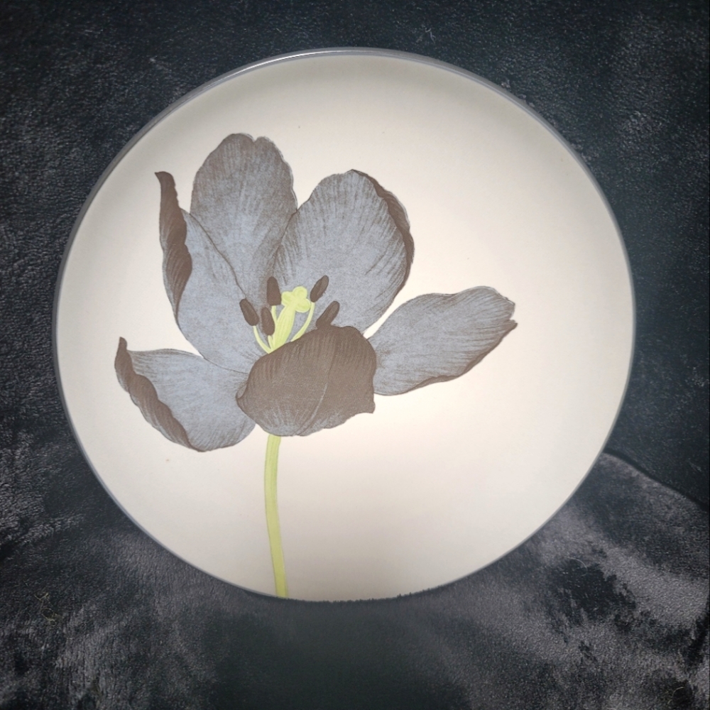 Noritake Colorwave Collection 8 1/4" Accent/Lunch Plates (1 bx of 4 plates)